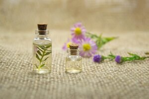 A Comprehensive Guide to Discovering Their Benefits and Uses A Comprehensive Guide to Discovering Their Benefits and Uses