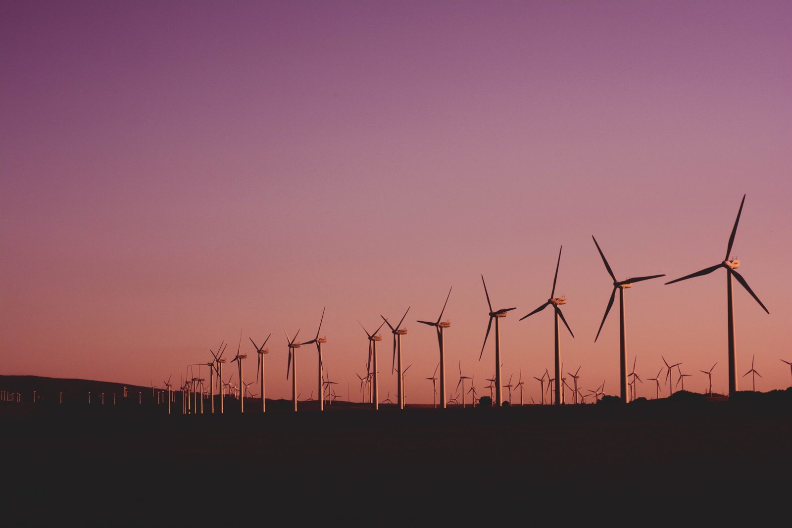 Energy Flow: Lifeblood of Ecosystems & Sustainable Future