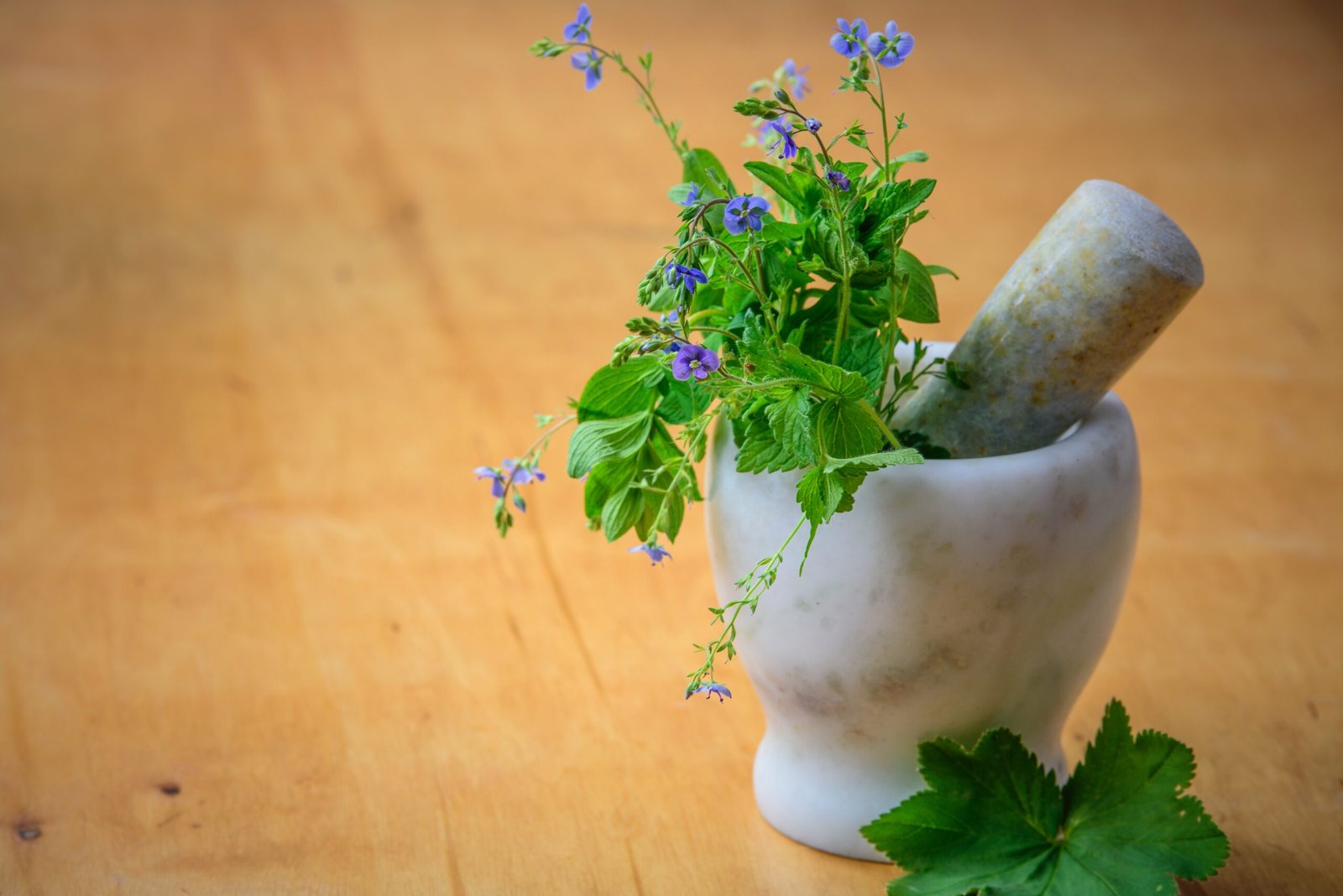 Energy Healing: Unleashing Mind, Body, and Soul Wellness